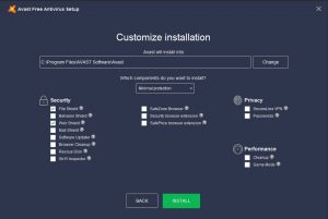 Avast Minimal Install